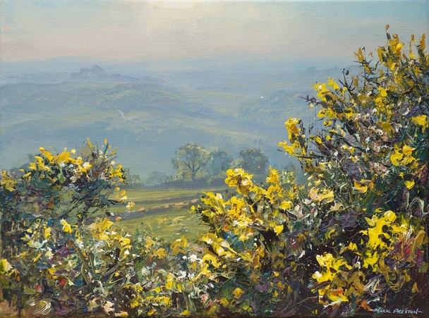 Mark Preston - april gorse, alport height